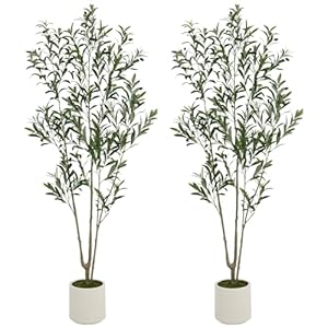 ROOMTEC 2 Pack Artificial Olive Tree 6ft, Faux Olive Tree with White Planter and Fake Moss, Olive Trees Artificial Indoor, Potted Plants Artificial Decor Realistic Trunk and Leaves for Home (2, 6 FT) ROOMTEC 2 Pack Artificial Olive Tree 6ft Faux Olive Tree with White Planter and Fake Moss Olive Trees Artificial Indoor Potted Plants Artificial Decor Realistic Trunk and Leaves for Home 2 6 FT
