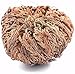 Yerbero - 6 Pack Big Rose Jericho Dried Flower 2.5''-3.5'' | Selaginella Lepidophylla | Resurrection Plant | Jumbo Size Dried Rose | Abundance, Prosperity, Sacred Rose, Doradilla Plant | 3.5'' - 6''