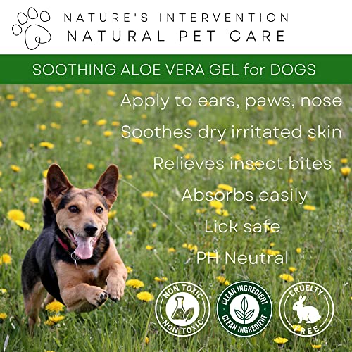 NATURE'S INTERVENTION 99% Natürliches Aloe Vera Gel für Hunde - Mit Neem, Teebaumöl & Rosmarin - 100 ml von NIP. Befeuchtet, Beruhigt, Lindert Juckreiz. Für Trockene, Geschädigte, Gereizte Haut.