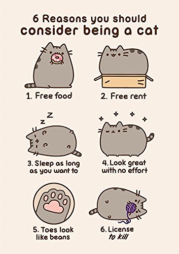Pusheen The Cat Consider Being a Cat Cartolina