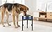wkao Adjustable Black Dog Bowl Stand with Stainless Steel Bowl, Height 9-15 in, Width 7-11 in, for Small, Medium & Large Dogs