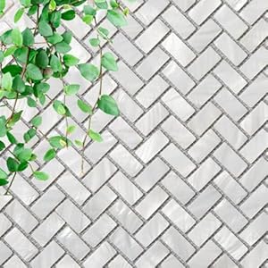 Echte parelmoer oester visgraat schelp mozaïek tegel voor keuken backsplashes, badkamer muren, spa’s, zwembaden door Vogue Tile door Vogue Tile