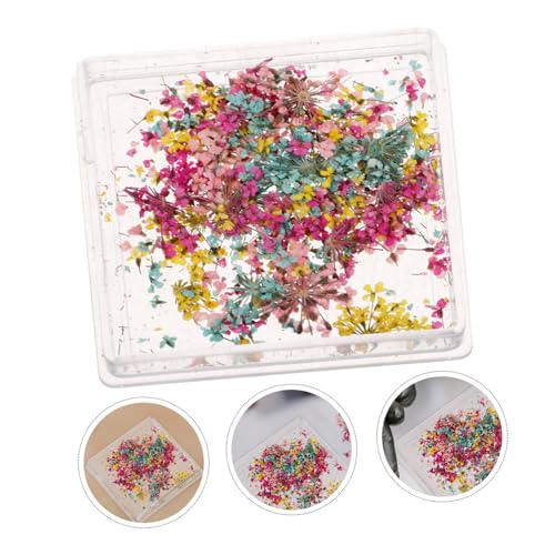 Decoración floral seca para uñas con caja portátil miniatura 5