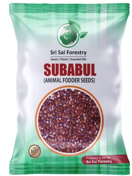 SRI SAI FORESTRY Subabul Plant Seeds for Animal Fodder Green Manure Live Fencing Pack of 1000 Seeds (B0C3ZYFVBH) Amazon Price History, Amazon Price Tracker