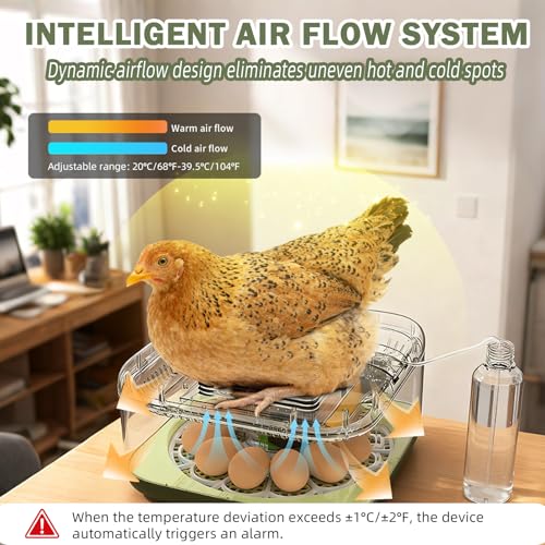 XOTTI Incubator for Hatching Egg, 12 Egg Incubators with Temperature and Humidity Control, Automatic Turner, Candler, 360° Viewing for Dry Hatch Chicken, Duck, Quail, Goose, Parrot and Pigeon — view 2