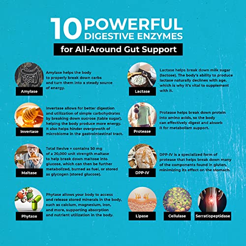 Upwellness Total Revive + - Broad Spectrum Digestive Enzymes - 90 Capsules - 10 Essential Enzymes And 3 Herbal Adaptogens - Physician Formulated #TOP5