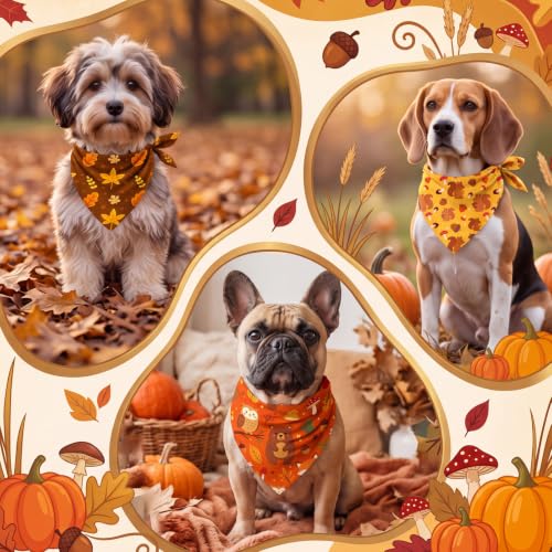 Image of Abbylike 50 Pcs Fall Dog Bandanas Bulk Autumn Leaf Pumpkin Acorn Mushroom
