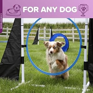 MiMu Dog Agility Equipment 10pc Obstacle Course Customizable Dog Agility Training Equipment and Obstacle Course Dog Agility Course Including Tunnels Weave Poles and Hurdles