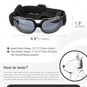 Namsan dog goggles small breed uv lens doggy sunglasses for small dogs eyes protection outdoor antifogging snowproof windproof dog glasses adjustable bright black   cucciolini doodles