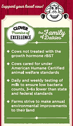 Clover Sonoma, Egg Nog, 32 Fl Oz