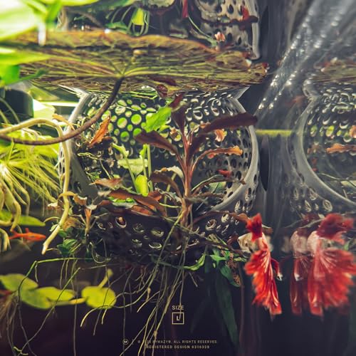 Image of The Original Cave Lounge - Betta Fish Tank Accessories, Swim-Through Hideout Ornament for Small Fish and Shrimp, Aquarium Decoration with Plant Holder - Authentic Design (Clear White, Large)