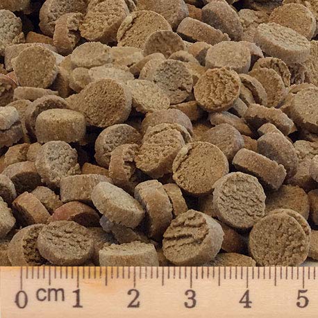 Bubeck Trockenfutter für kleine Rassen getreidefreie Premium Vollnahrung Single Meat (Pferd, 700g)