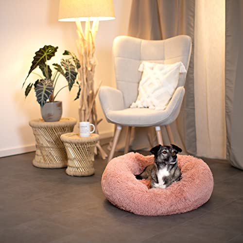 lionto Donutbett für Hunde und Katzen, Flauschiges Hundebett rund für kleine und große Heimtiere, Ø 60 cm, weiches Katzenbett aus kuscheligem Plüsch, Hundekissen mit extra Dicker Füllung, rosa