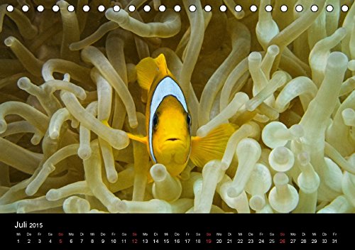 Anemonenfische, Mein Revier. (Tischkalender 2015 DIN A5 quer): Rotmeer Anemonenfische (Tischkalender, 14 Seiten)