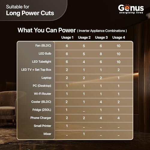 Genus Store Genus MaxiLion One 2400VA 2560Wh Solar Inverter - Image 8