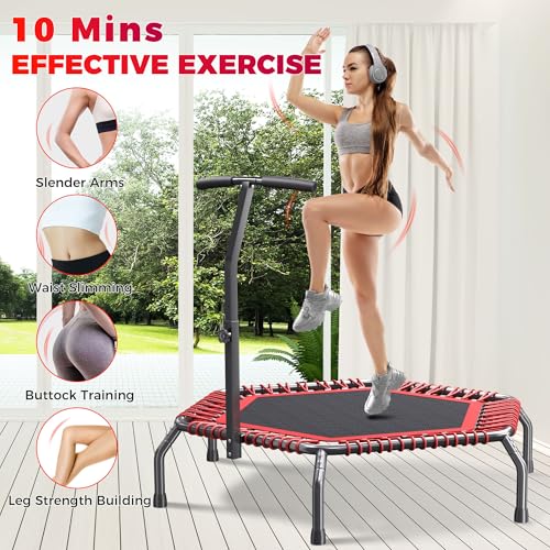 Image of 40 inch /48 inch Rebounder Trampoline for Adults with Bungee Cords, Exercise Rebounder for Adults Indoor /Outdoor Workout, Max Load 450 /550 LBS