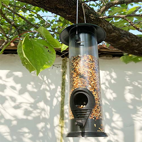 View 4