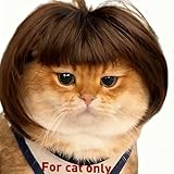 Cat Wig for cat only– Small Size for Tiny Animals Such as Goose Duck and Chicken DIY Haircut & Adjustable Fit – Cat & Dog Costume for Halloween, Party, Photo Shoots