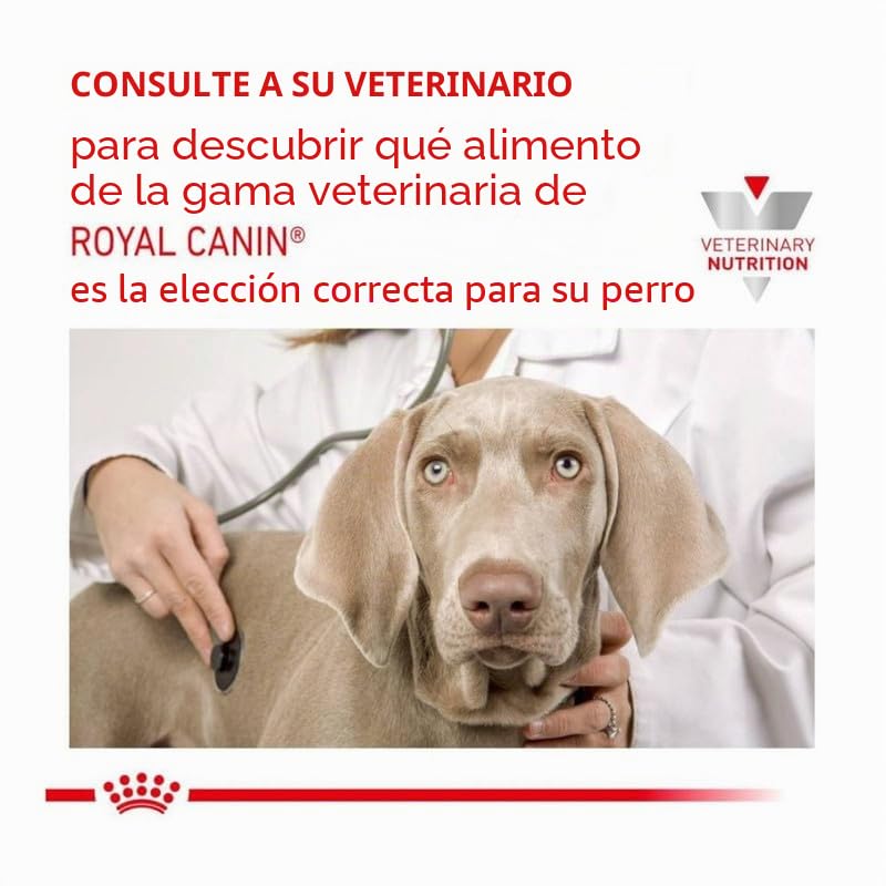 ROYAL CANIN Veterinary Urinary s/o Canine para Perros | Paquete Doble | 2 x 12 x 100 g | Comida húmeda para Perros | Trozos Finos en Salsa | para Ayudar a disolver los cálculos de estruvita