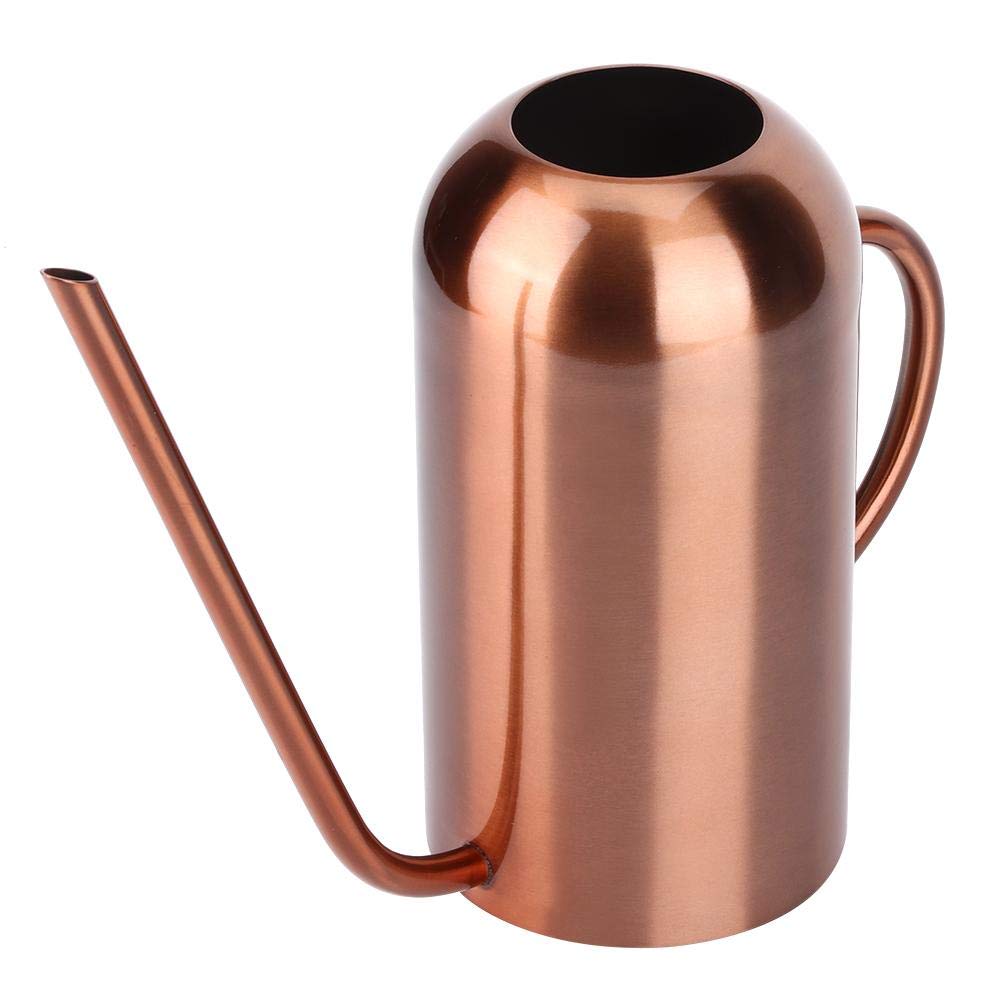 1.5L en Acier Inoxydable Arrosoir Intérieur pour Enfants Maison Bureau Bureau Plantes Bonsaï Saupoudrer Pot À Longue Bouche Jardin Fleurs Plantes Fleur Outil