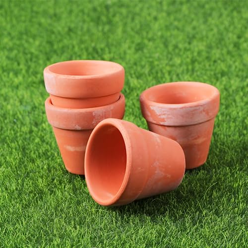 Macetas, Lawn & Patio Imagen adicional