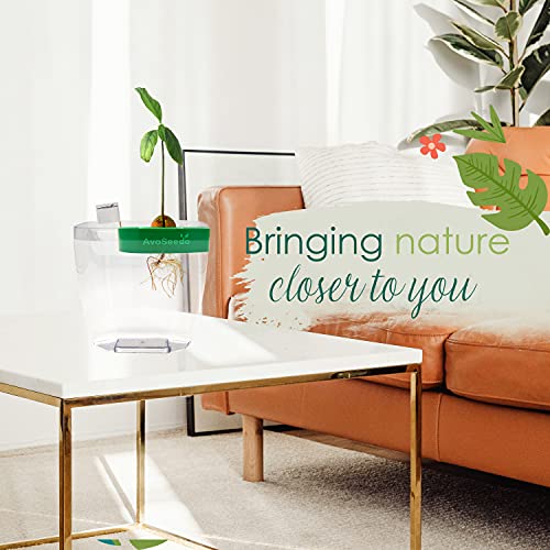 Avoseedo Avocado Tree Growing Kit – Practical Gardening Gifts For Women, Mom, Sister & Best Friend /Grow Avocado Plant Indoor With Unusual Pit Grower Boat /Kitchen Garden Seed Starter Gift #TOP3
