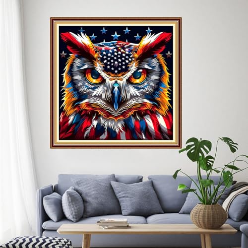 Image of Funchey Stamped Cross Stitch Kits, DIY Cross Stitch Pattern for Adults Beginners Needlepoint Kits Embroidery Kit Arts and Crafts 11CT-National Flag Owl 18x18 inchs