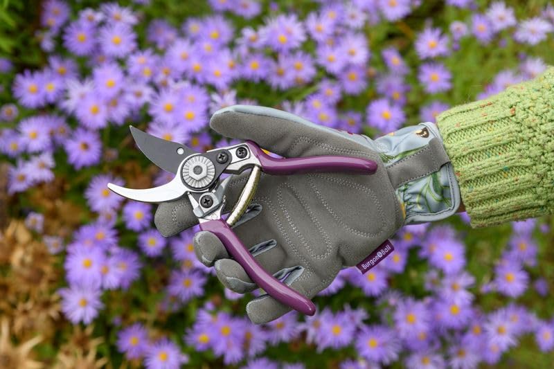 Burgon & Ball RHS Geschenkset Gartenschere und Halfter Asteraceae