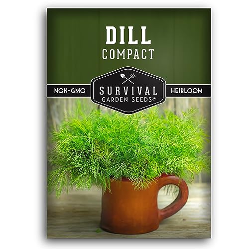 Compact Dill Seeds for Planting – Dwarf Dill for Containers & Small-Space Gardens – High Germination Heirloom Non-GMO Herb for Indoor or Outdoor Growing – Survival Garden Seeds (1 Pack)