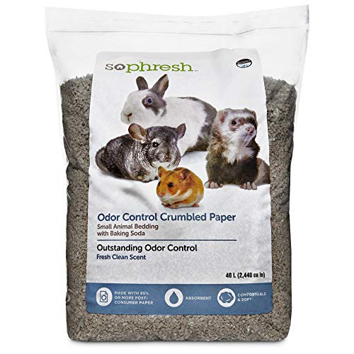 The Best Bedding For Guinea Pigs In March 2024