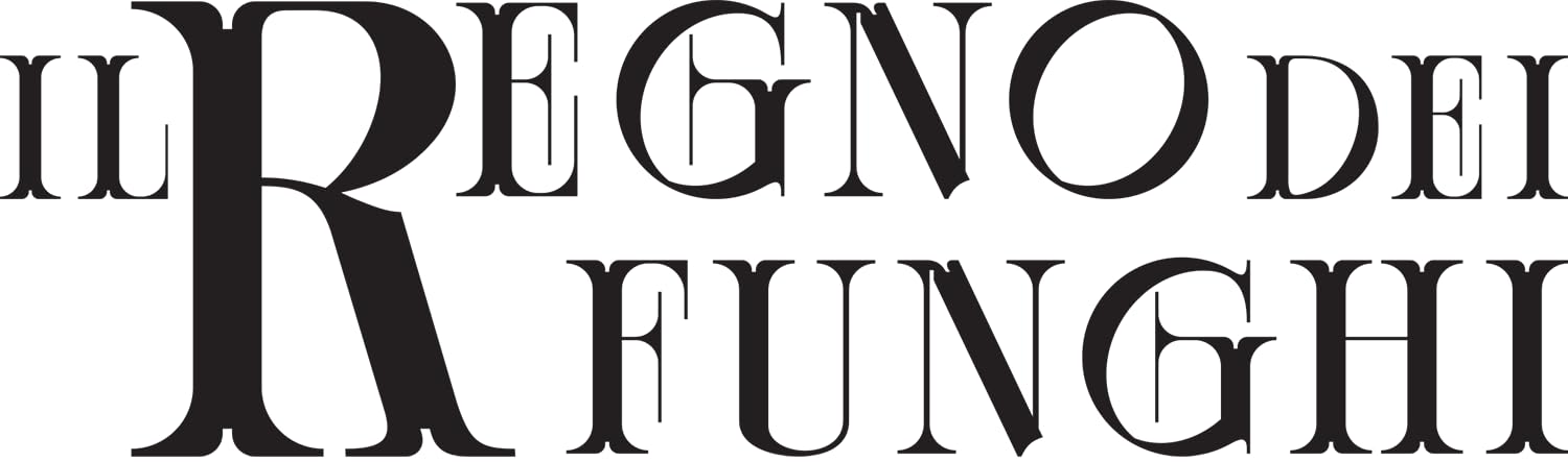 Pendragon - Il Regno dei Funghi - Edizione italiana - Gioco da tavolo, Età 10+,1-4 Giocatori