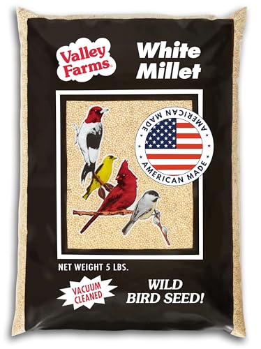 Valley Farms White Millet Wild Bird Seed (5LB) for Outside feeders, White proso Millet, Bird Watcher Secret Wild Bird Food to Attract Colorful Painted Buntings in Southern USA