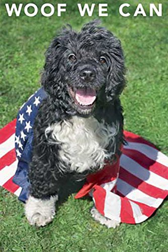 Empire Poster Keith Kimberlin WaterDog + accessoires de fixation pas de cadre