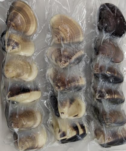 国産 九十九里浜地蛤 1Kg×12P 個約50-70g 業務用 真空 冷凍