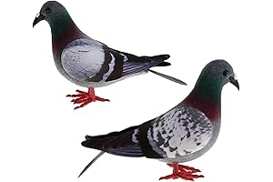 Realistic Foam Pigeon: The Perfect Stuffed Avian Decor for Your Abode