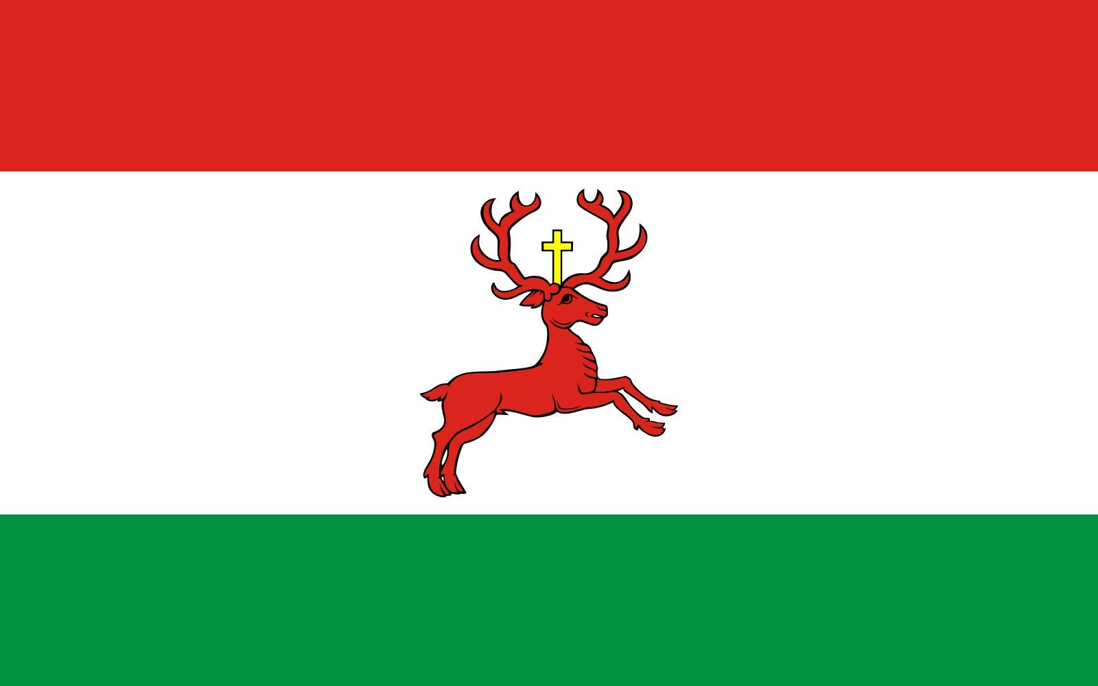 Drapeau Wyrzysk Pologne haute résistance grand pavillon finitions luxe