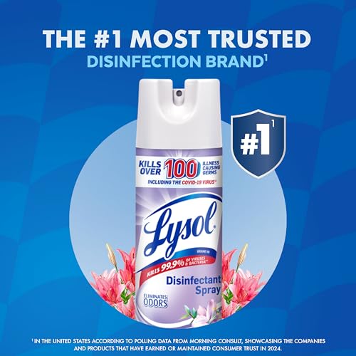 Lysol Disinfectant Spray, Anti-Bacterial & Deodorizing, Early Morning Breeze, 12.5 fl oz