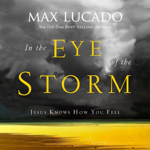 Cover art for In the Eye of the Storm