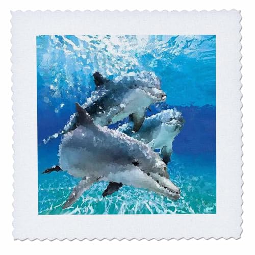 3dRose Dolphins - Quilt Square, 12 by 12-Inch (qs_4852_4)