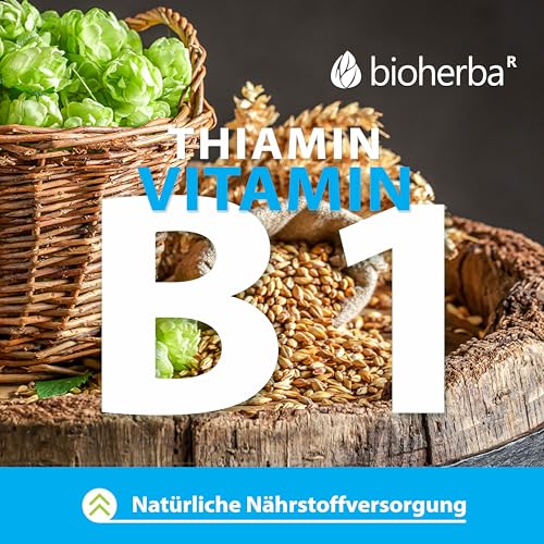 BIOHERBA Knoblauch Kapseln – 100 Stück mit 260 mg hochdosiertem Extrakt mit Vitamin B1 für den normalen Energiestoffwechsel PZN 19680003