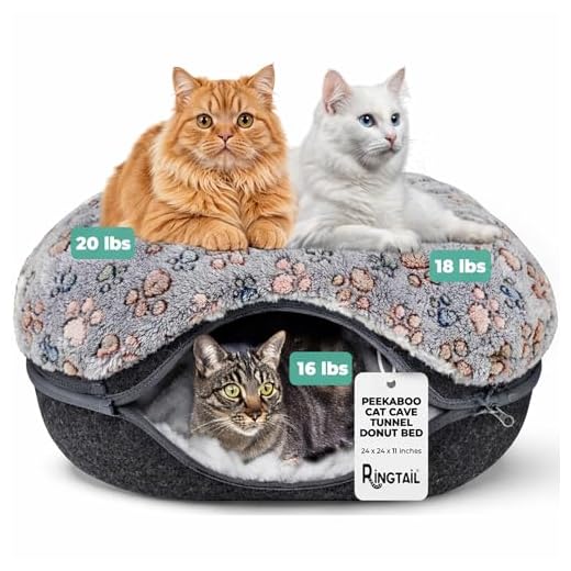 RINGTAIL Peekaboo Cat Bed Cave
