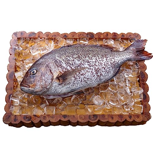 ܉Y Ăɏ̂܂ (܂ۂ1) hg 2kg Mtg (GƓA؏) {茧Y  蕨 p[eB[