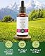 BitterKraft! Bittertropfen ohne Alkohol 50 ml – Bio Bitterstoffe mit 9 Kräutern nach Hildegard von Bingen – vegan & ohne Zusatzstoffe – Made in Germany