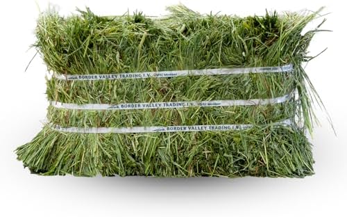 Border Valley Timothy Hay Bale in Bag, 40 lb - High Fiber Grass H...