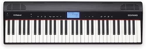 Roland Go-61P