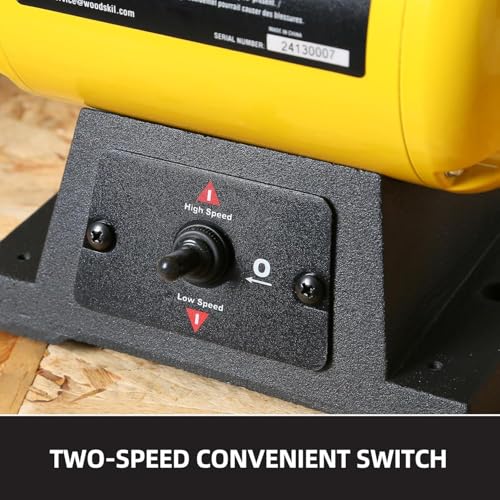 Dual Speed Bench Buffer Polisher