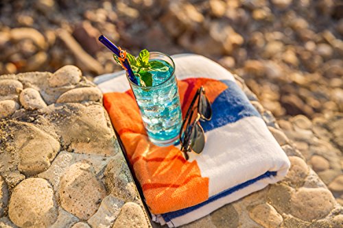 Hummingbird Glass Straws Orange Gecko On 9" Blue Bent Glass Straw Made With Pride In Usa - Includes Cleaning Brush #TOP1