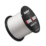Zoom IMG-1 dingbear 109yd 100m 135lb 0