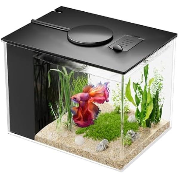 kit aquarium nano 3 litres complet