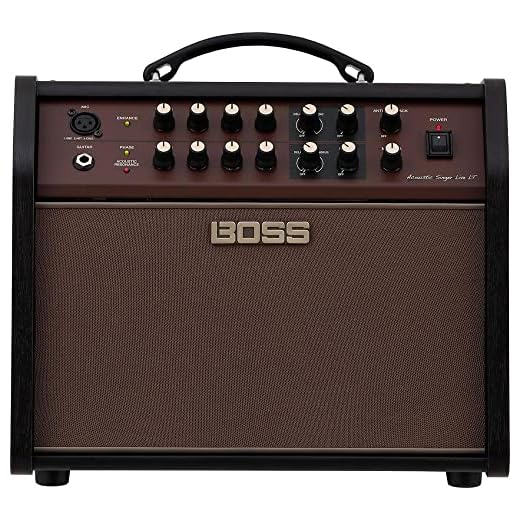 BOSS Acoustic Singer Live LT Guitar Amp (ACS-LIVELT)